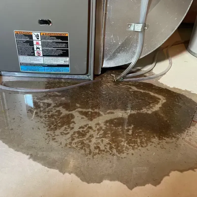 Appliance Leak Cleanup in Claremore, OK